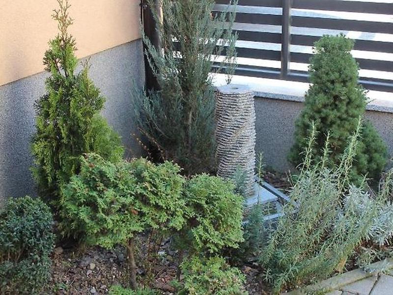 3CC2151833D0A07202413043AB4BDB12