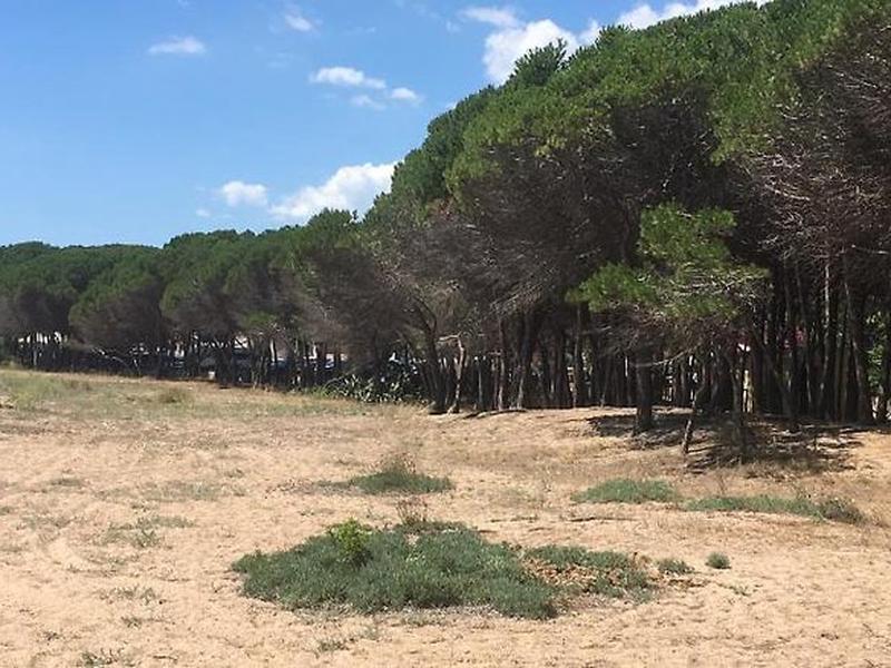 EB9C7AAB1F1D4F92CC430CD28F4DF816