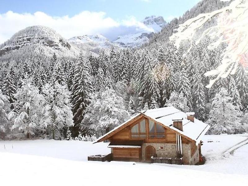 CD0870643CB0447B97AA7FE7F302E509