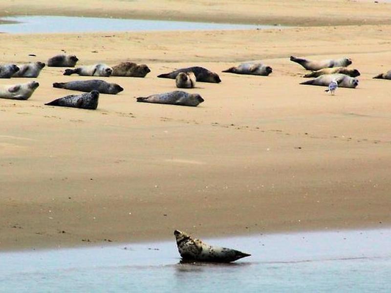 CF7B775E07EB00DC9C93FFED6A5D1C70