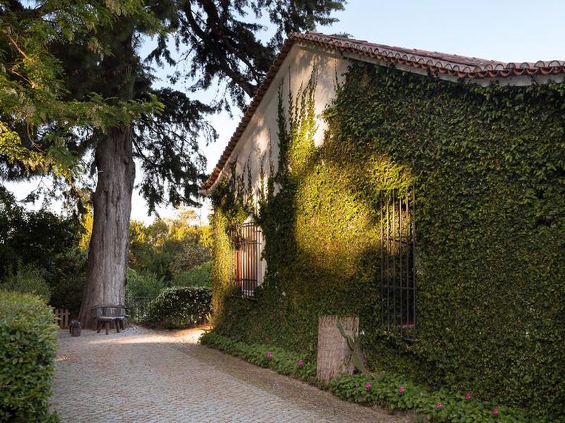 C6C4A333C5C80704A19AF7518D07308E