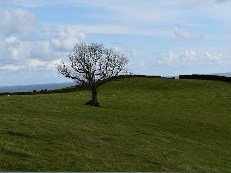 CEFCC738C1E4F6F779B25516C109B63D