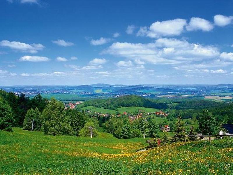 A4C44A194DE72721E397D9DC71F93971