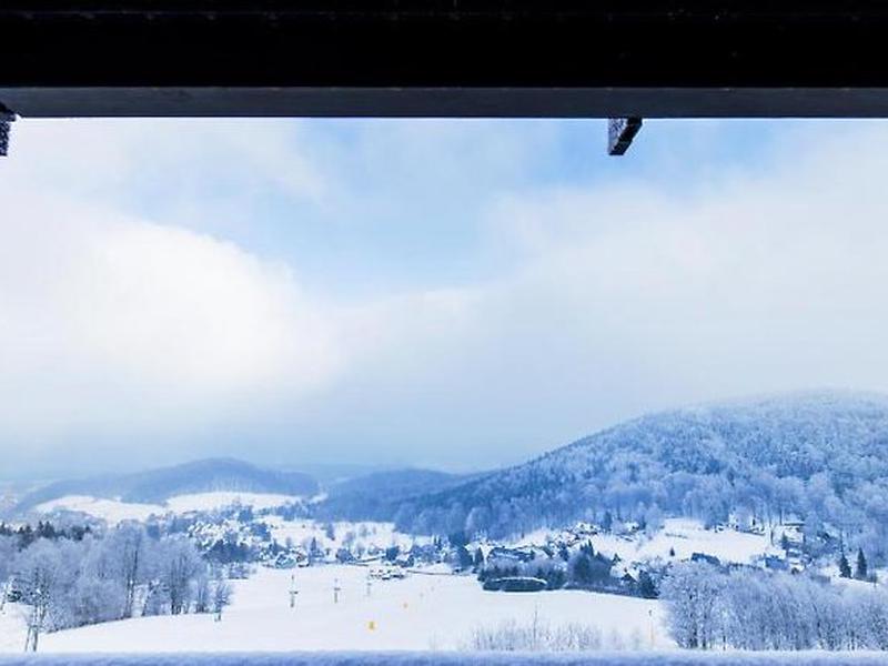 33CED0B863D5C64E80CF6E025D3B7799