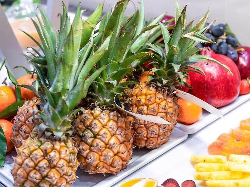 F878AE5ECB9F5B15F00D4C013B452C2A