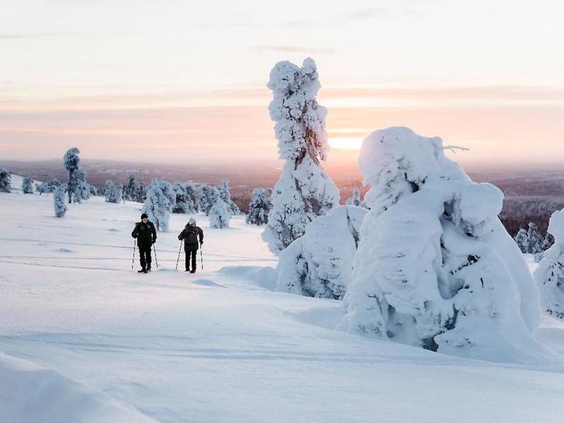 DFD8E3EDC4EB3ED6C4D24B8B7D90E704