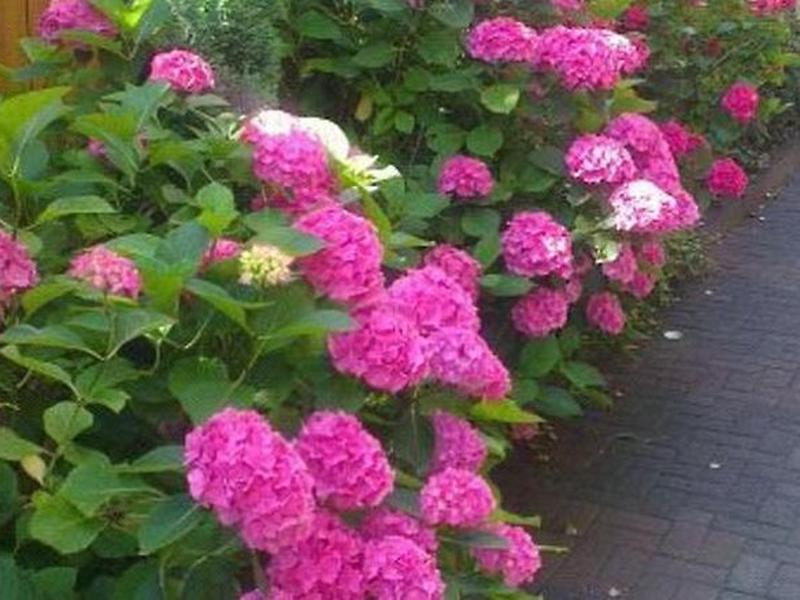 A787295A329AE13EC5631991603FBE96