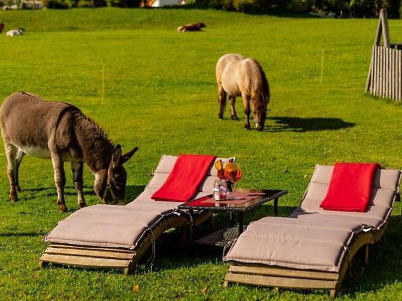 593691995ED1B30A1CF7C611EF1B0FE1