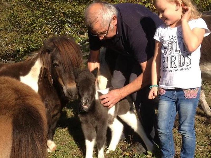 61428A4D8FC52B1501398E150D2A6508