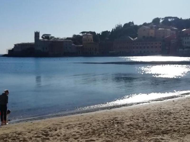 2A86CFDA0A03F88170584E3FD7A63549