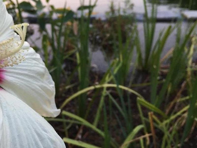 31A1CA6CB5894A071E0E9CECE5732046