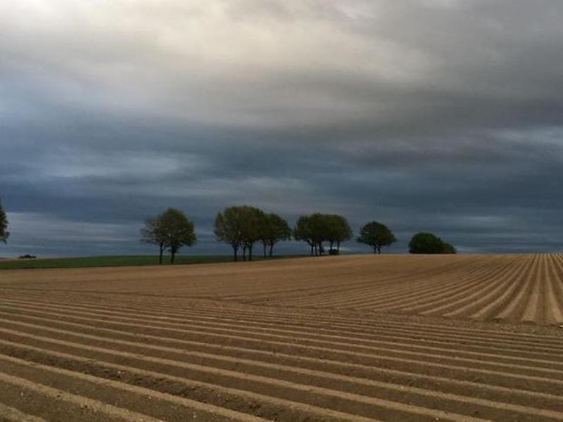 1744BE284A2CC4567E0171D3E99CA081