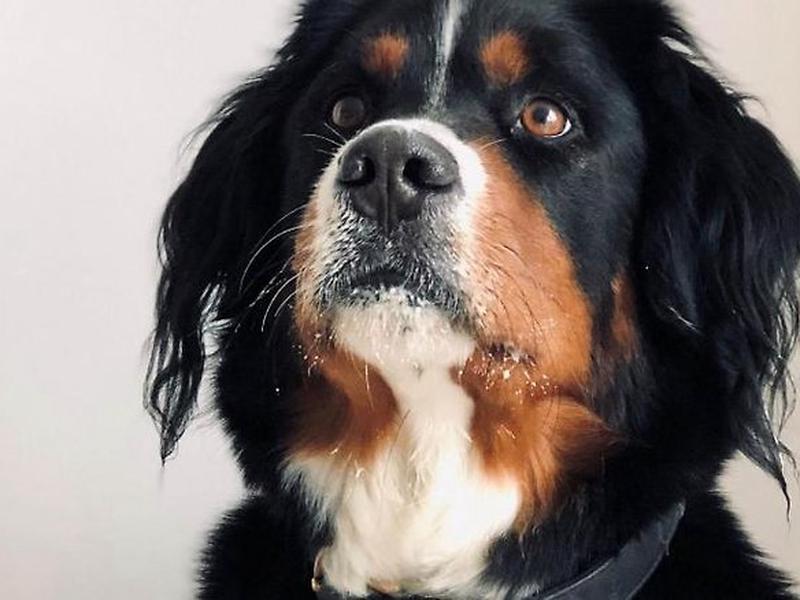 E158A34A393A3D8337A1FDA2248C2822