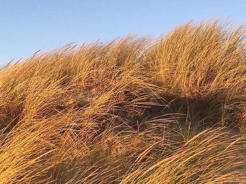 9694C3D4192B6D8A2E21C38CC76EA2AB