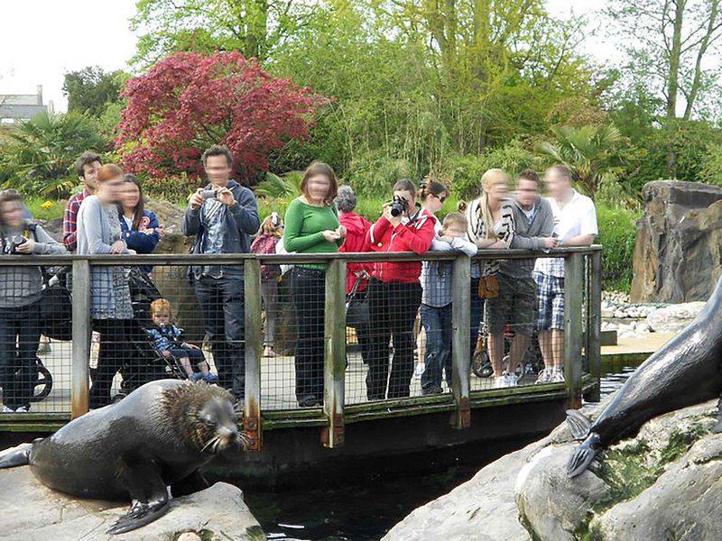 F90537CDE9D08F231E7E41A5A996AD25