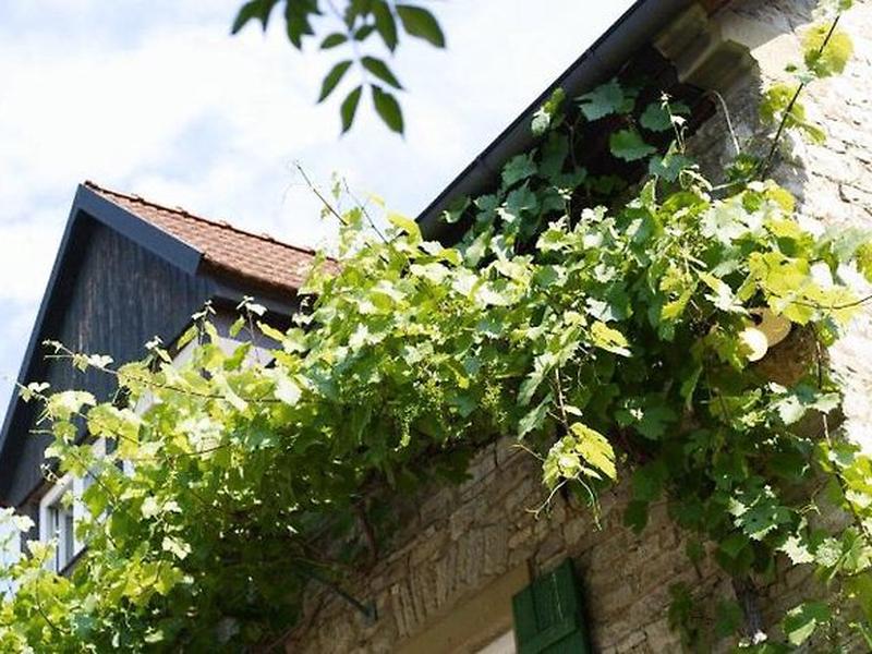 8E9A50F325E440DCA37056408A0FD5C0