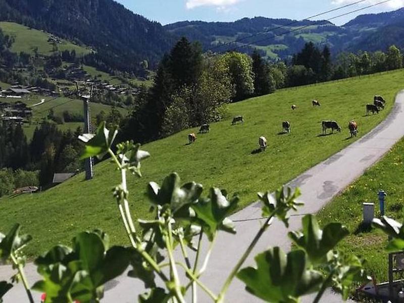 C9A54CDA3AEE50CFE07D7D199DA6C1D5