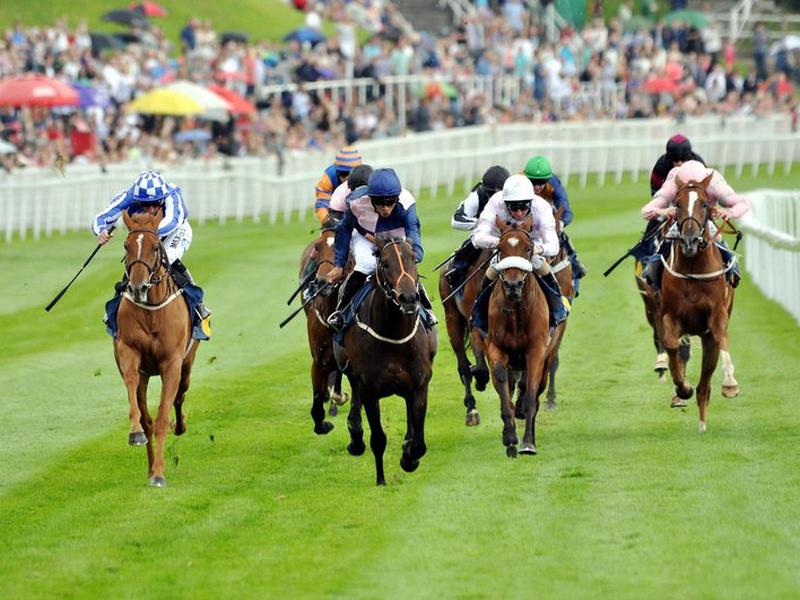 2DC9A2CF5C660A73317E01DC7AD91731