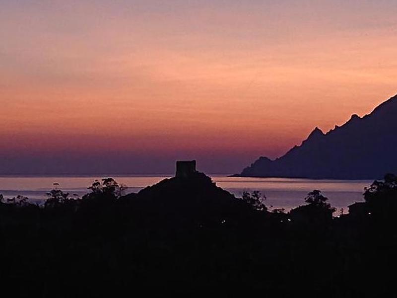 A29202C1EA1E12FCA3747129A423D35D