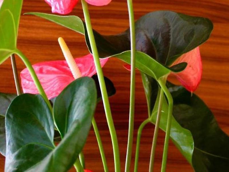 3F23836E1FC7F0B4F1047E5CA45073C2