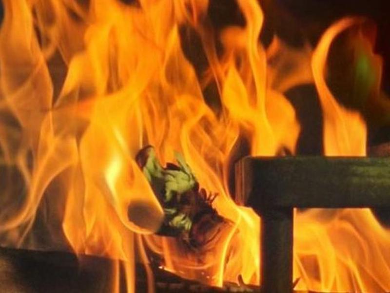 74CF51A17DD7E38AF20FD5D828013817