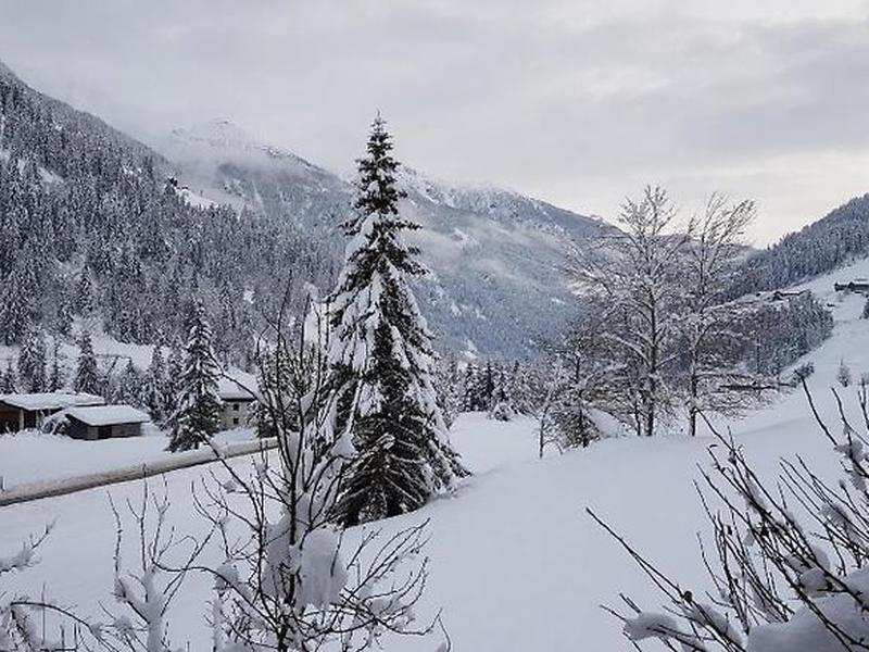 C903931B7D87AF5BBBD5A7C8AB4F9AEC