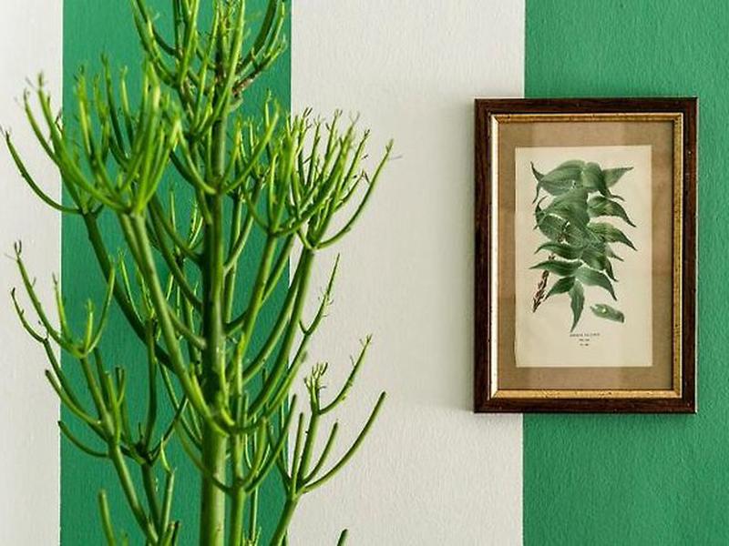 72BDA8B2B277F31D508C478A38AF8793