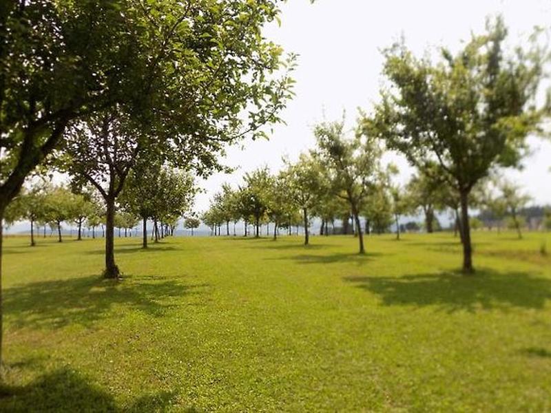 0DF79E134B203C9A1BF3E70A094F5CD0