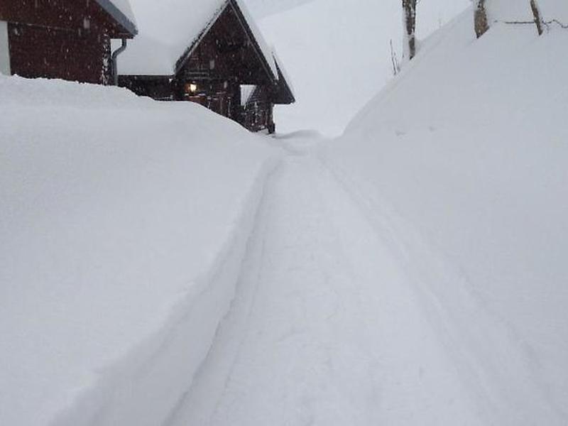 3BDC428F4978F3362D0D6A3B63793D36