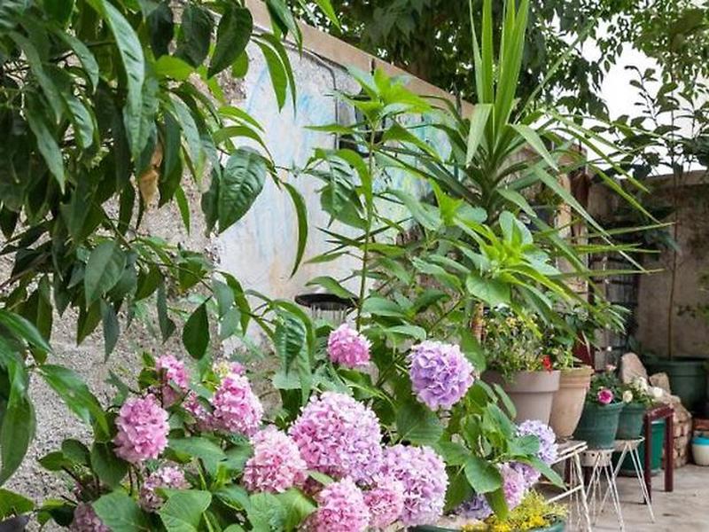 BB2D5793E26D12FFCAB46B7F42F887B1