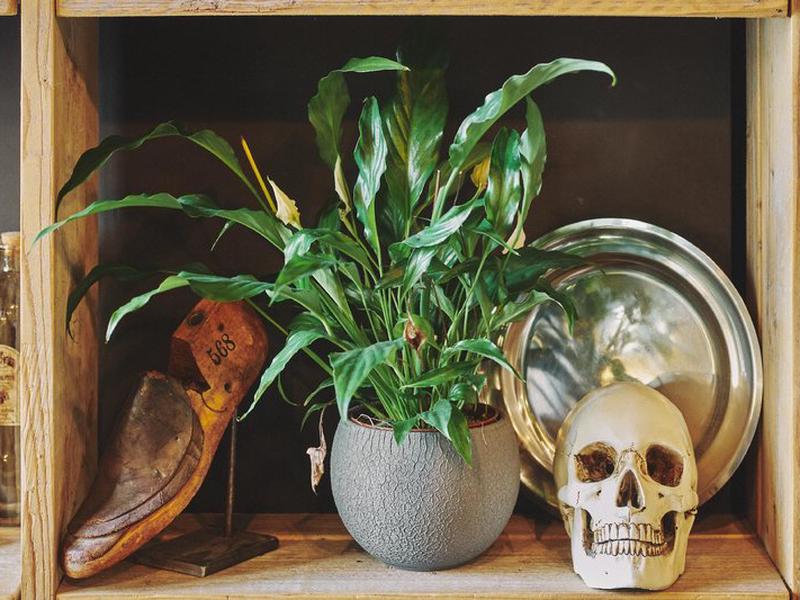 732167A04391B4E57FD2A903A9A81D01