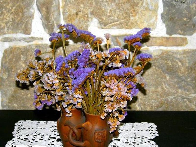 FA9BC9FF316A911B3DC4EC561D5AA25E