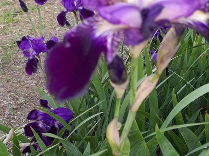 300526BCA92ECD8AD3CF38F10E42A951