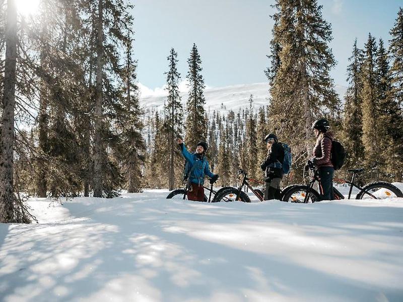 2FD66A5AA029DD845E578B5F94FE228B