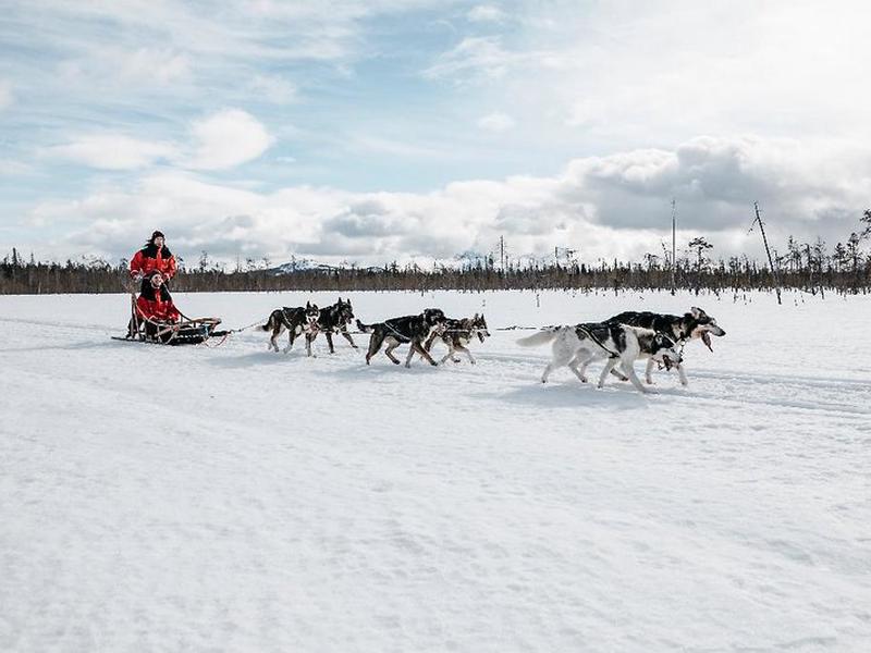 CFE2499FCF01F10AF7B8815774F4A2DF