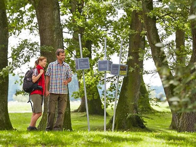 1DF20761D5BFFE562D534C1C87299ED3