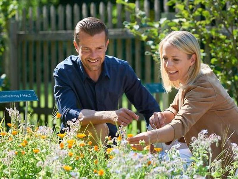 441A422FE7542E7B82DAE47FF86F7A21