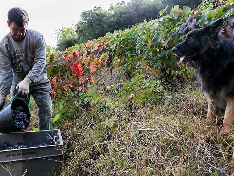 42C0E9B382F50879EE1D6DF40D5401A6