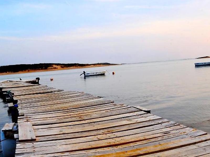 F8DD9D478A9E24C44780AA41D629E59F