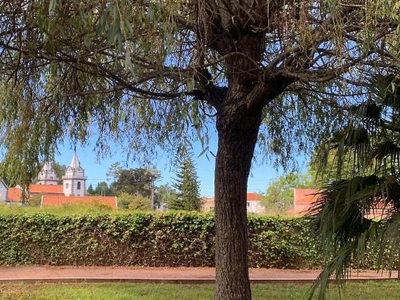 A653E58A665DE9D83D1B3EFEE4F39D27