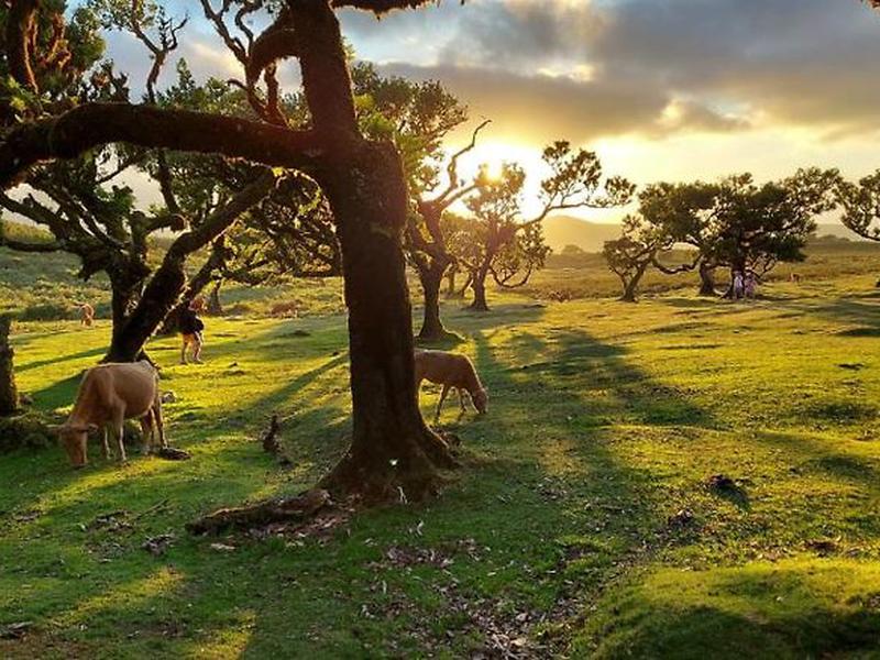 667A7D3837F5D9A041725C548D2640BE