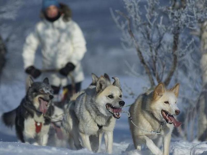 D4139007B9A07B28131F98D920F126DF