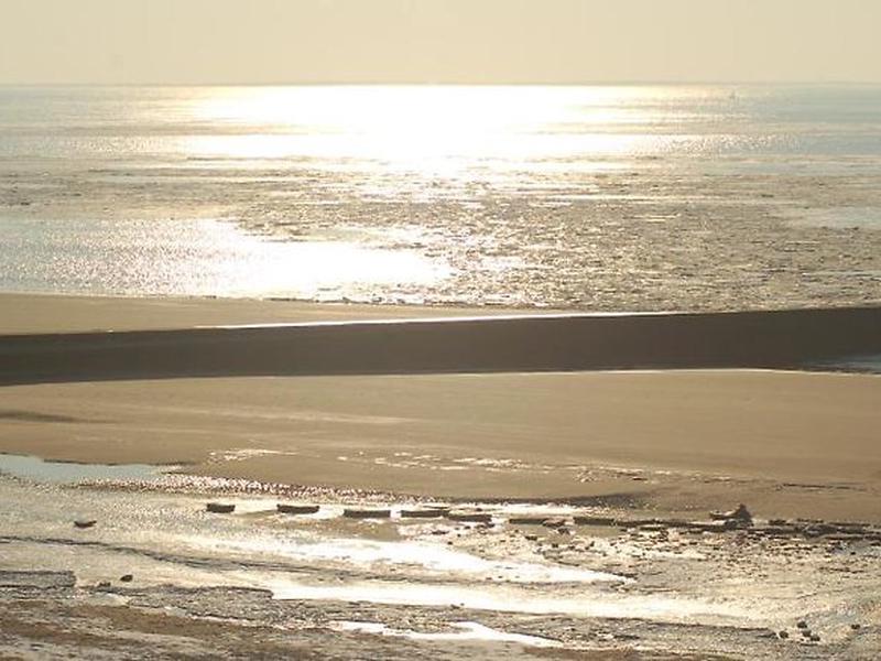 914AF3E75B20433DBBD52CD0FDD59083