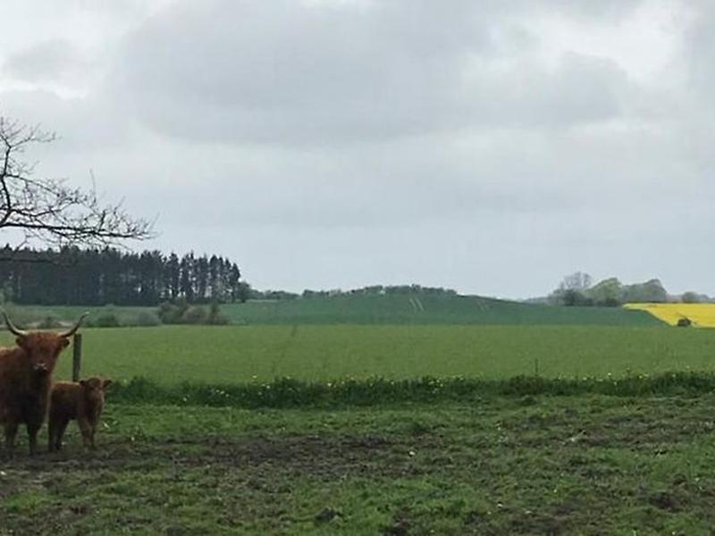 E3F509F7A6A77F911CCDD7E57D59FFE8