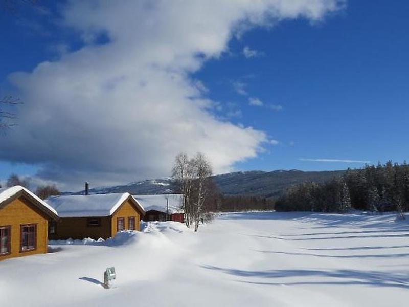 3AD8F2E574802178D5D60C811D35FF41