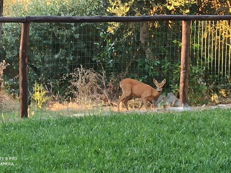 F130CFC3D51663CB3E1726C00985B148