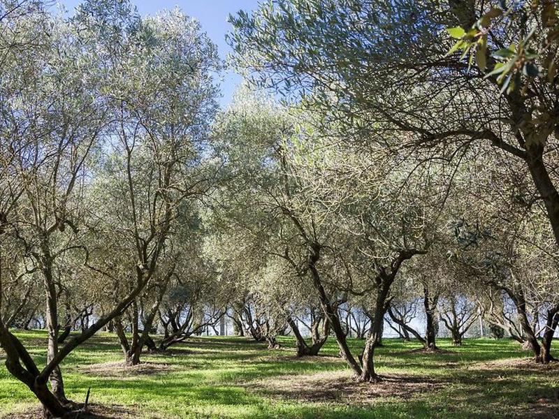 0767DB3FE525F6501BF53539EF2BBD00