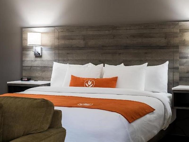 D60300862CE4B703859176B809A5EAF6