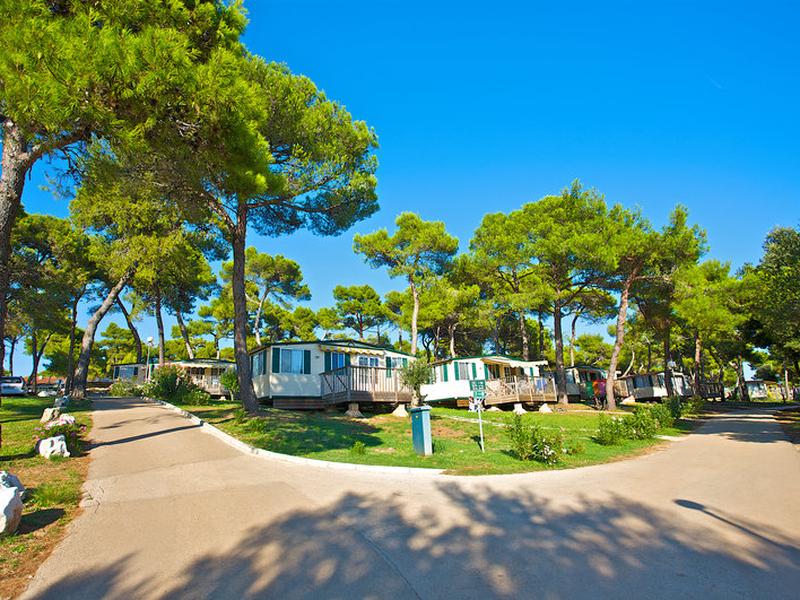 485BB3218C19A7D599DAE15690384604