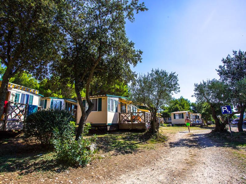 59A62EAE96F61A2D00BBB32FD373E6F2